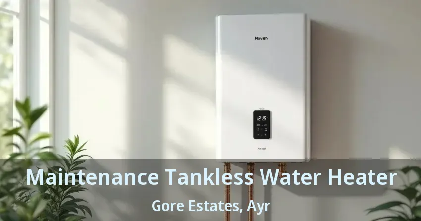 Maintenance Tankless Water Heater Gore Estates, Ayr - ON