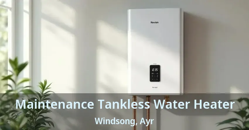 Maintenance Tankless Water Heater Windsong, Ayr - ON