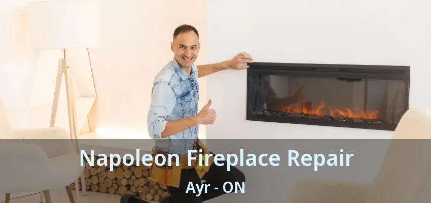 Napoleon Fireplace Repair Ayr - ON