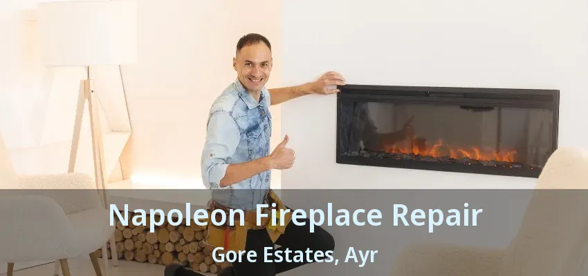 Napoleon Fireplace Repair Gore Estates, Ayr - ON