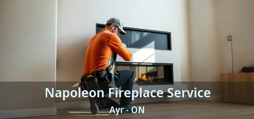 Napoleon Fireplace Service Ayr - ON