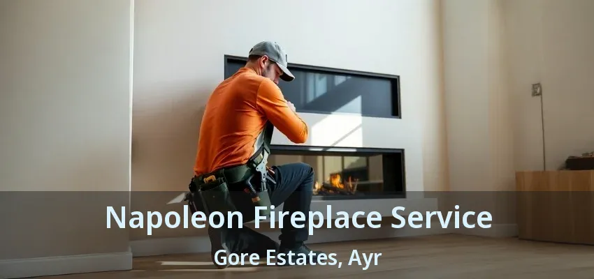 Napoleon Fireplace Service Gore Estates, Ayr - ON Napoleon Fireplace Service Gore Estates, Ayr - ON