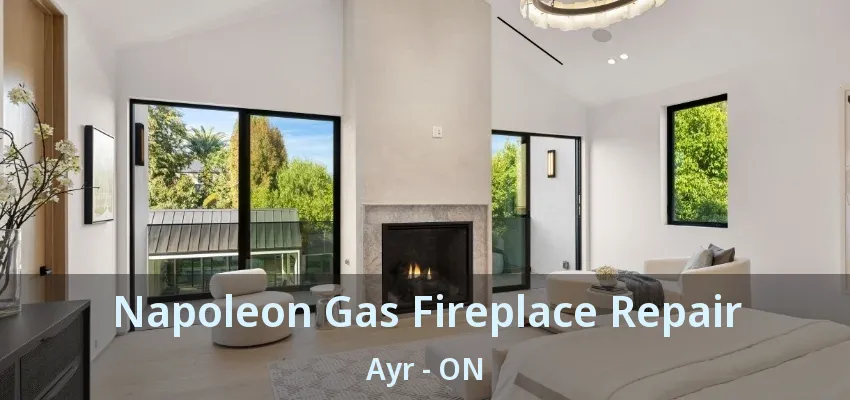 Napoleon Gas Fireplace Repair Ayr - ON