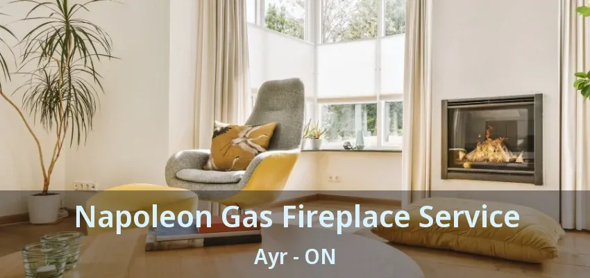 Napoleon Gas Fireplace Service Ayr - ON