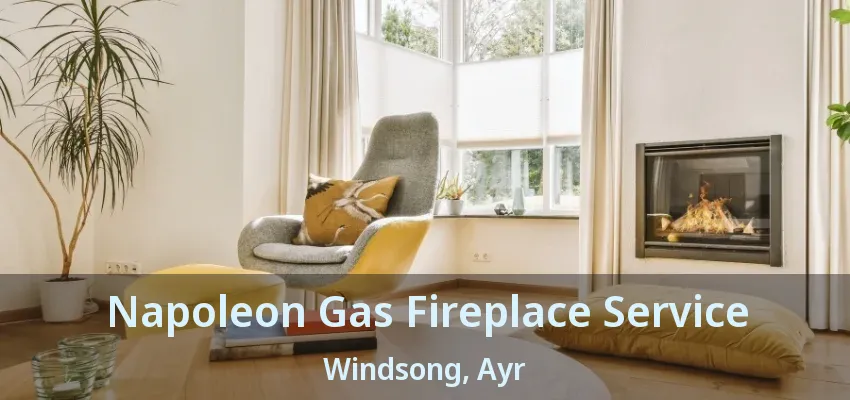 Napoleon Gas Fireplace Service Windsong, Ayr - ON