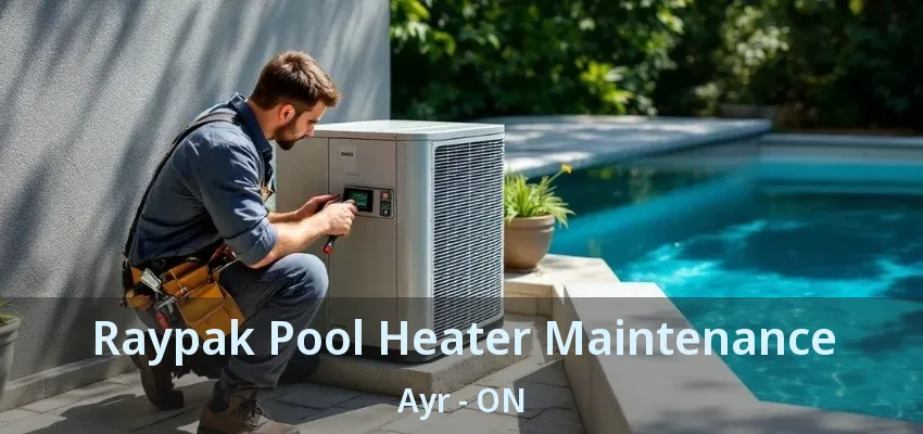 Raypak Pool Heater Maintenance Ayr - ON