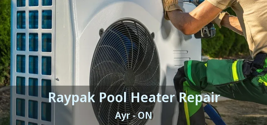 Raypak Pool Heater Repair Ayr - ON