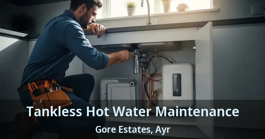 Tankless Hot Water Maintenance Gore Estates, Ayr - ON