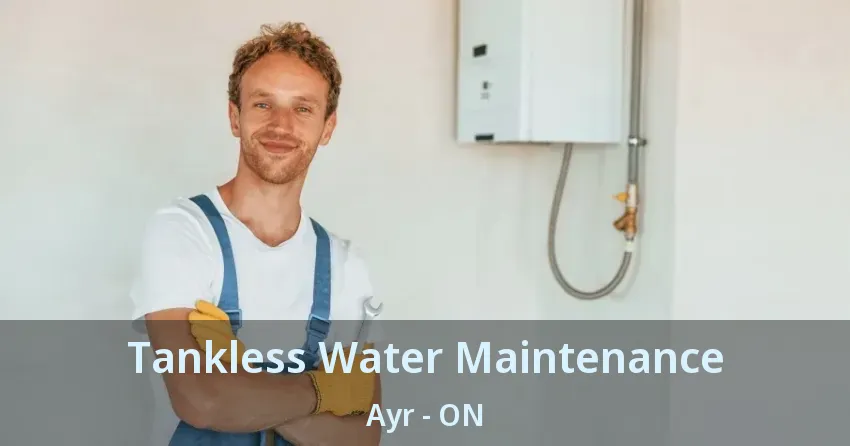 Tankless Water Maintenance Ayr - ON Tankless Water Maintenance Ayr - ON