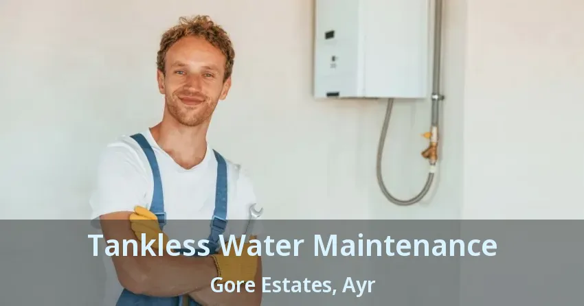 Tankless Water Maintenance Gore Estates, Ayr - ON